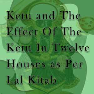 12 houses and ketu